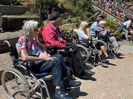 avifauna-9juli25 (4)