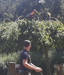 avifauna-10juli25  (10)