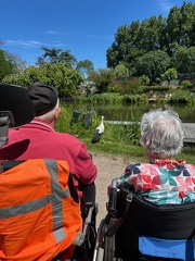 avifauna-10juli25  (21)