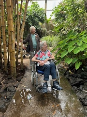 avifauna-10juli25  (25)