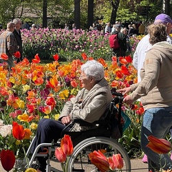 Bezoek Keukenhof